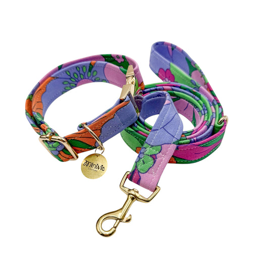 CASSANDRE - Collier & laisse