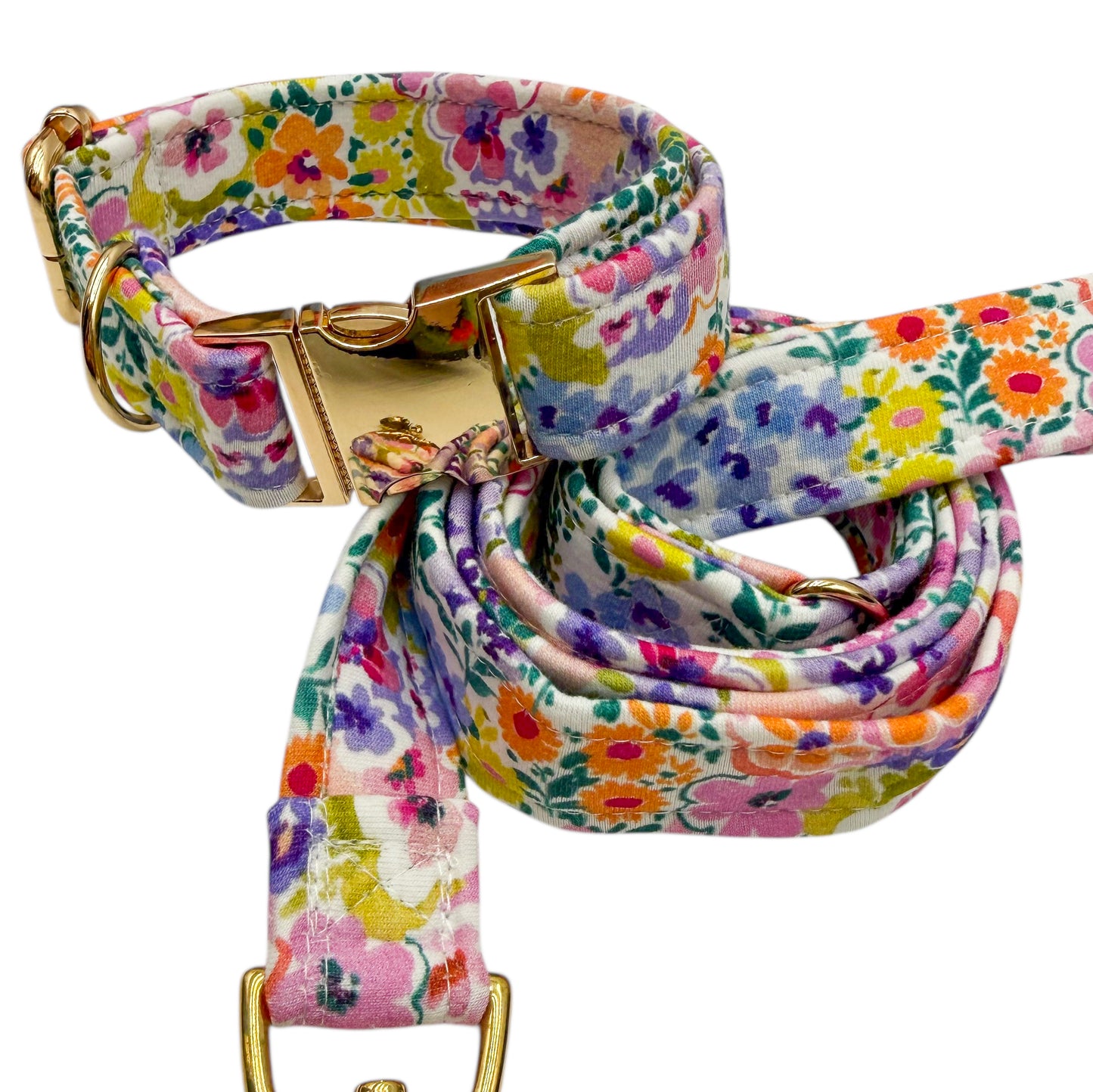 FLOW - Collier & laisse