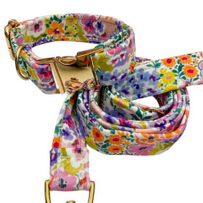 FLOW - Collier & laisse