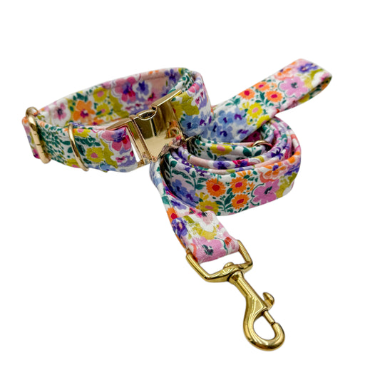 FLOW - Collier & laisse