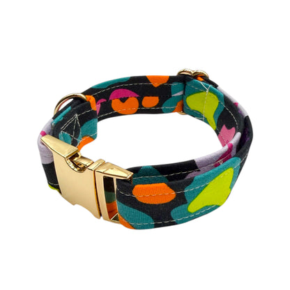 LEOFLUO - Collier & laisse