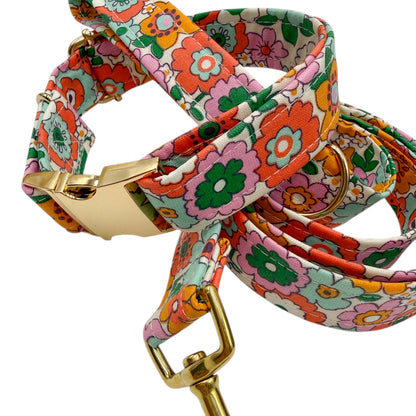 ZAZZY - Collier & laisse