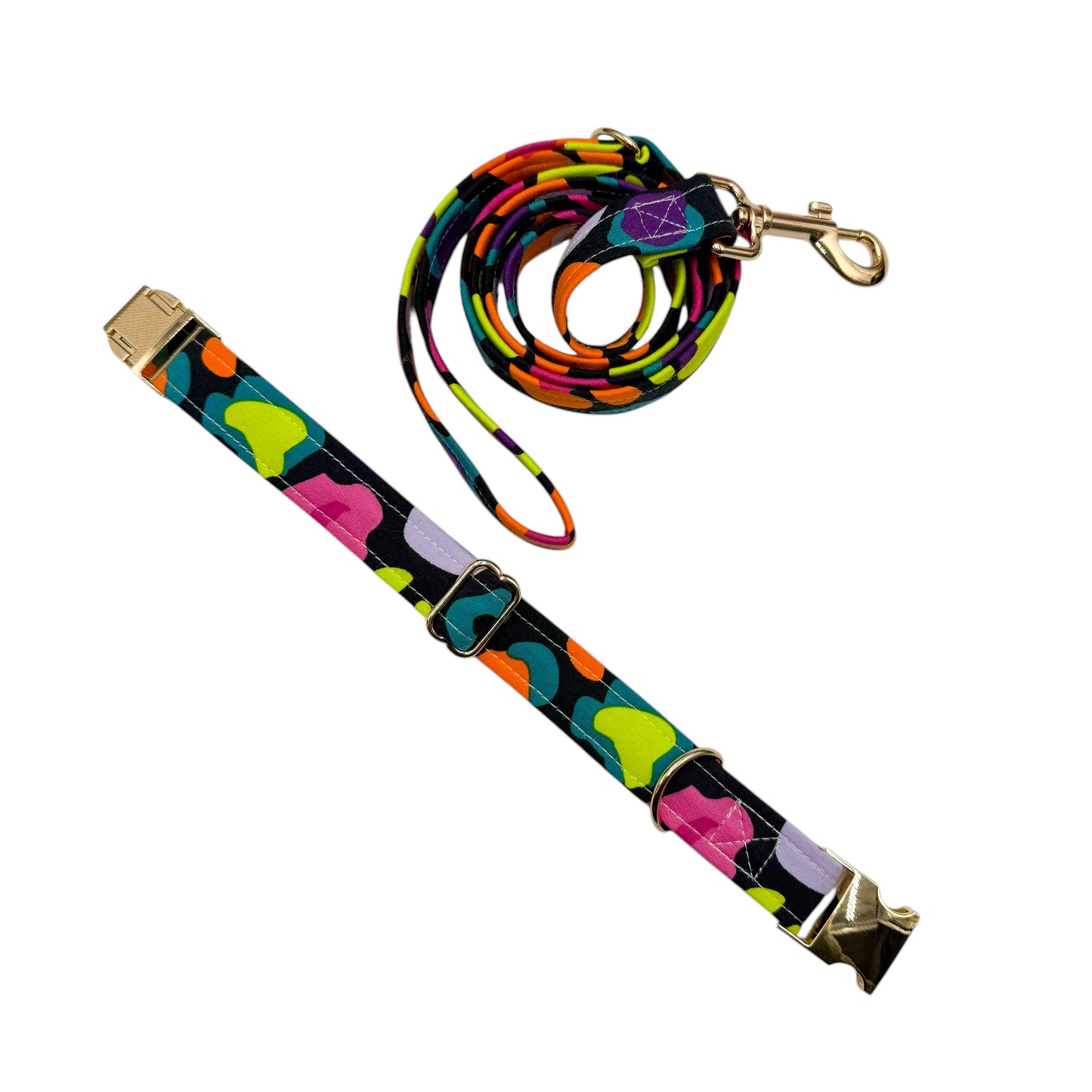 LEOFLUO - Collier & laisse