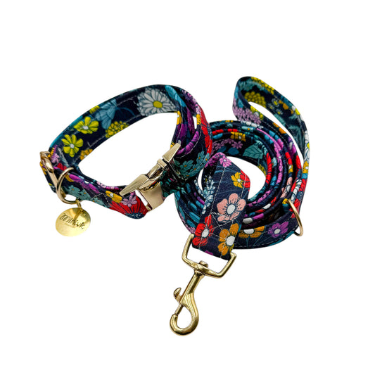 SOFIA - Collier & laisse