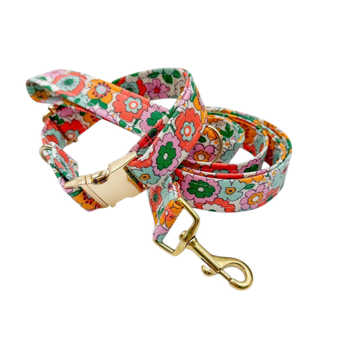 ZAZZY - Collier & laisse