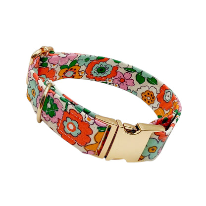 ZAZZY - Collier & laisse