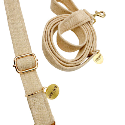 GOLDEN - Collier & laisse