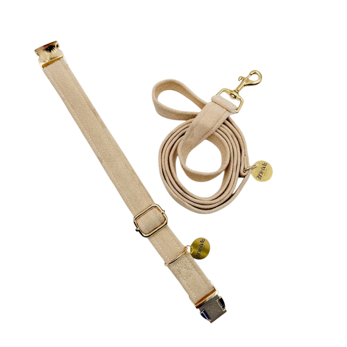 GOLDEN - Collier & laisse