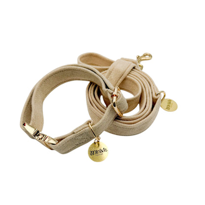 GOLDEN - Collier & laisse