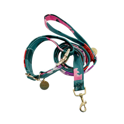 ANAIS - Collier & laisse (Copie)