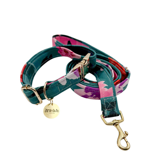 ANAIS - Collier & laisse (Copie)