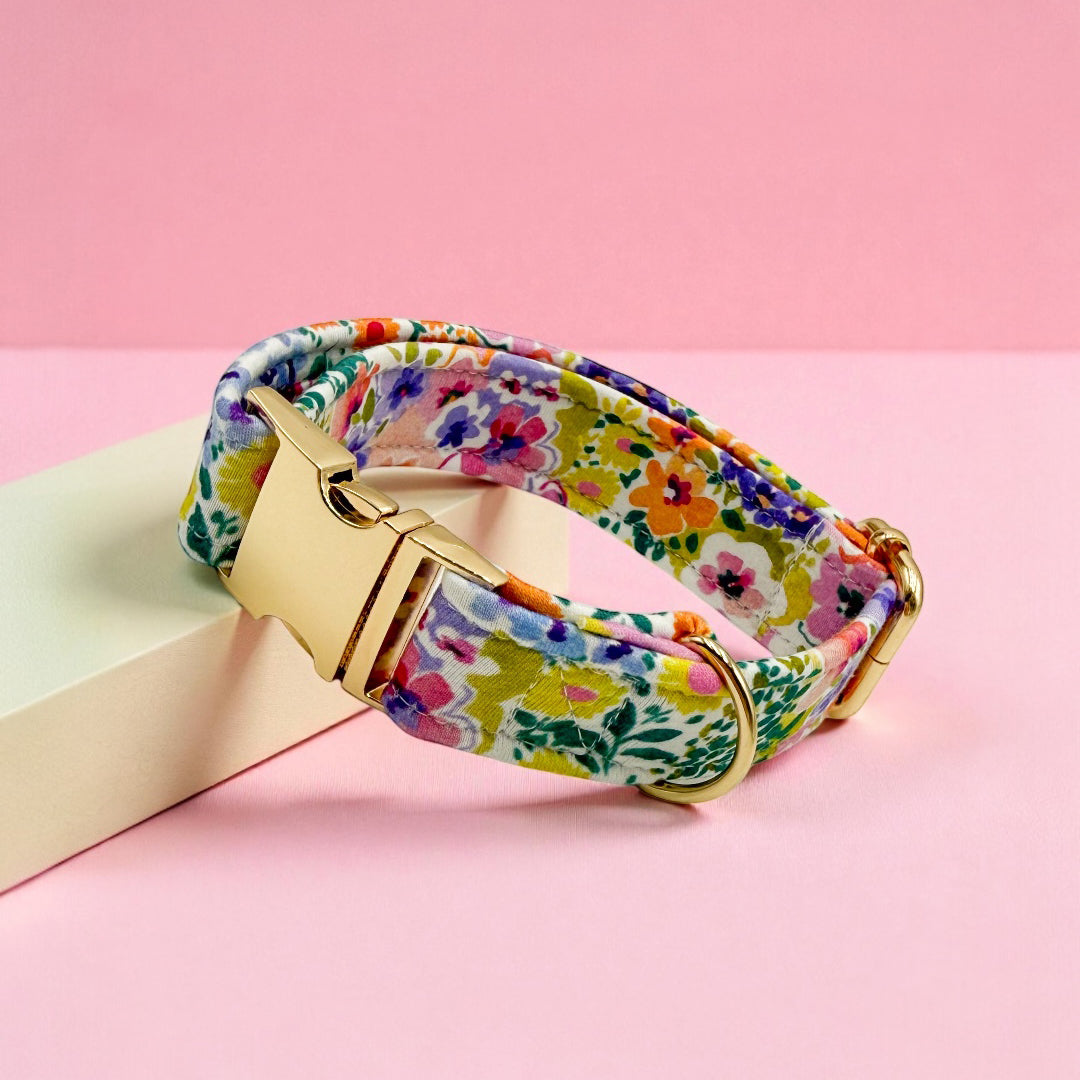 FLOW - Collier & laisse