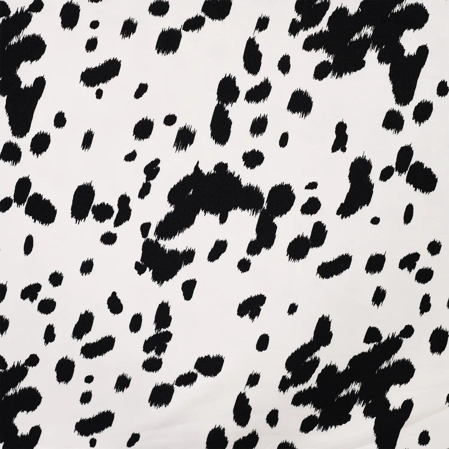 DALMA ◦ Coupon