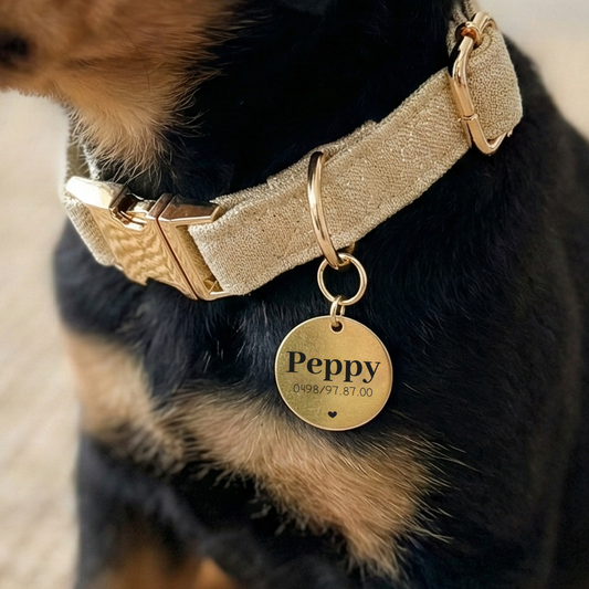 MEDAILLE - Collier et laisse